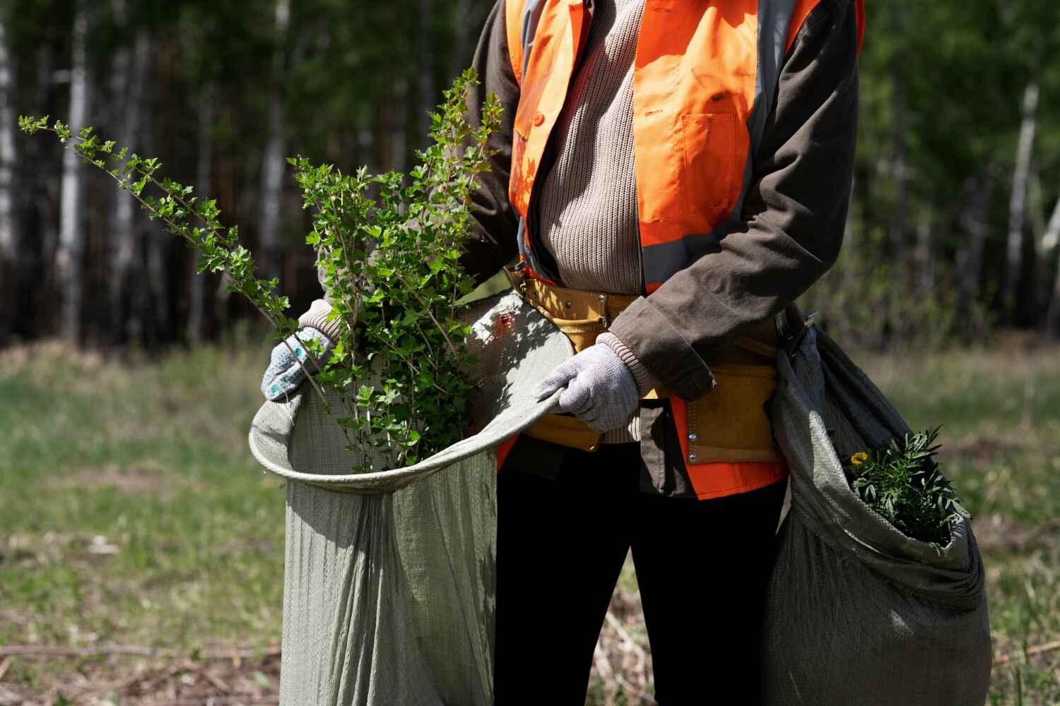 Best Tree Stump Removal  in Milan, MO